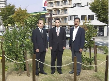 syokuju2.jpg
